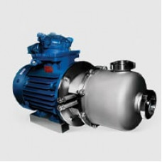 Пищевой насос центробежный ОНЦс 25/20К5-4.0/2