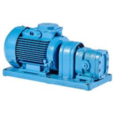 Шестеренный насос БГ11-24